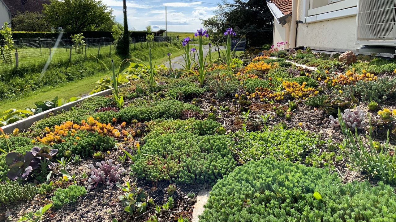 Photo of Others in Ange