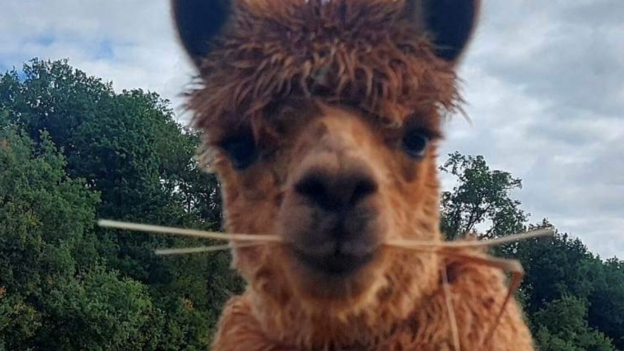 Photo of Bathroom in Ange