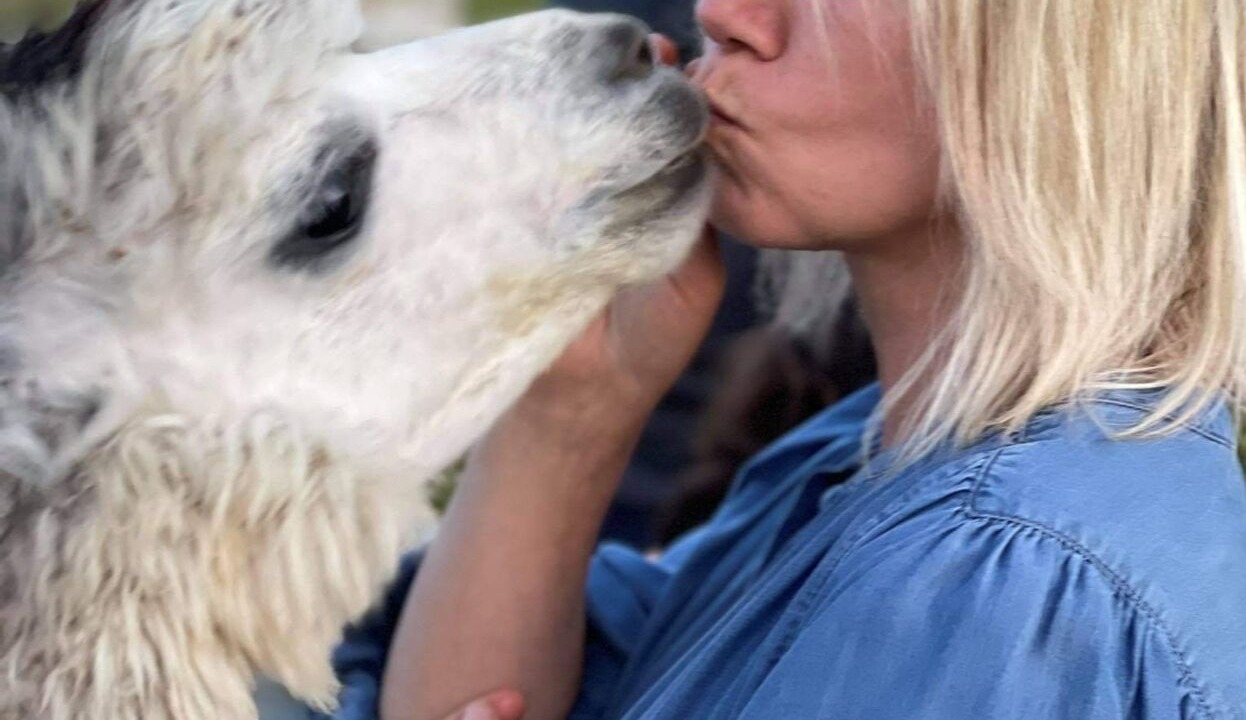 Photo of Others in Ange