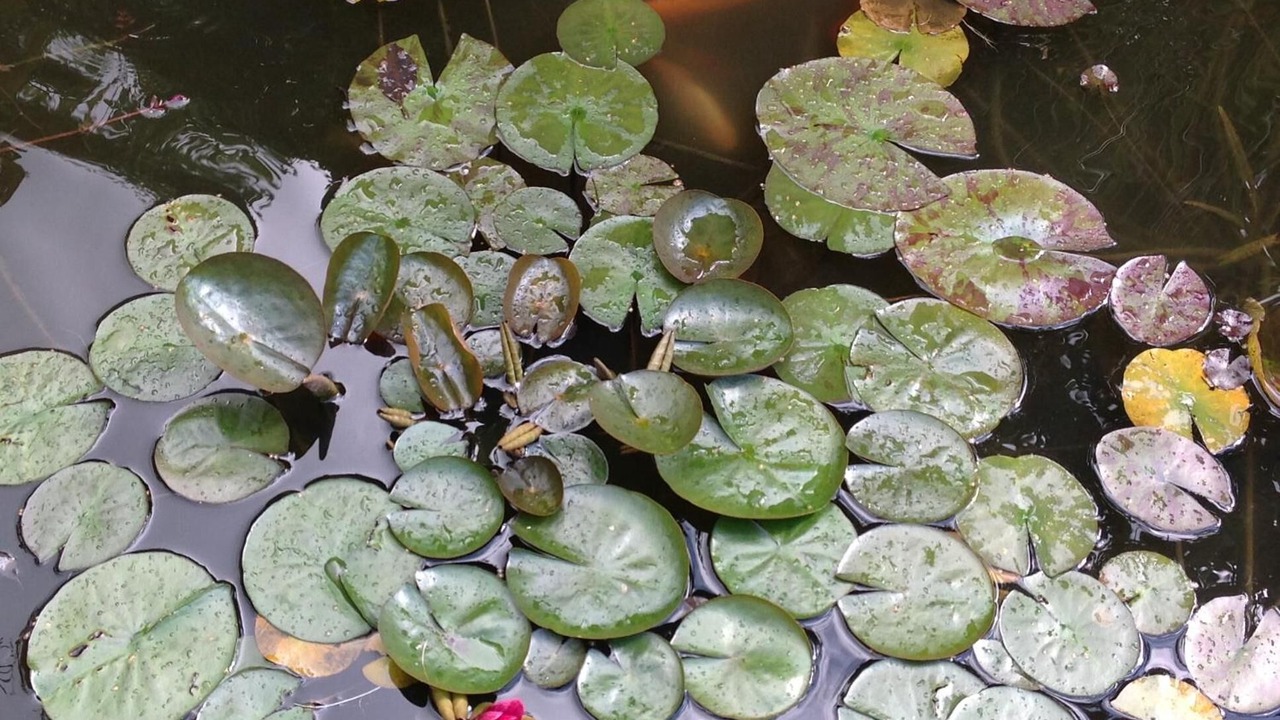 Photo of Outdoor in Bretteville-l'Orgueilleuse