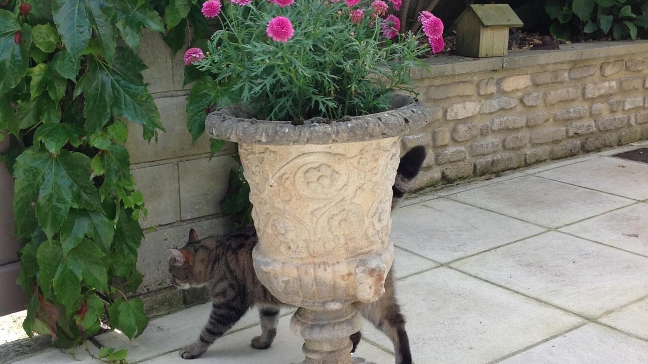 Photo of Outdoor in Bretteville-l'Orgueilleuse