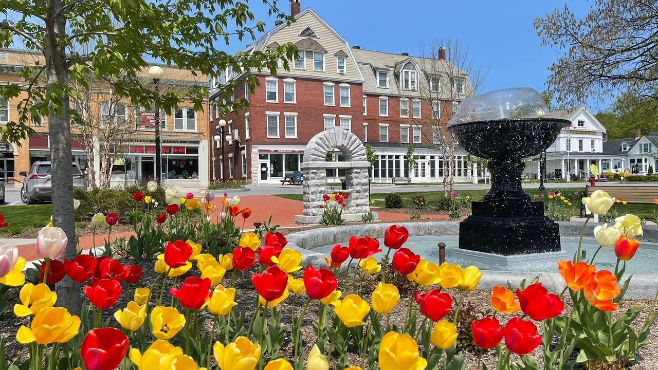 Photo of Outdoor in Brandon