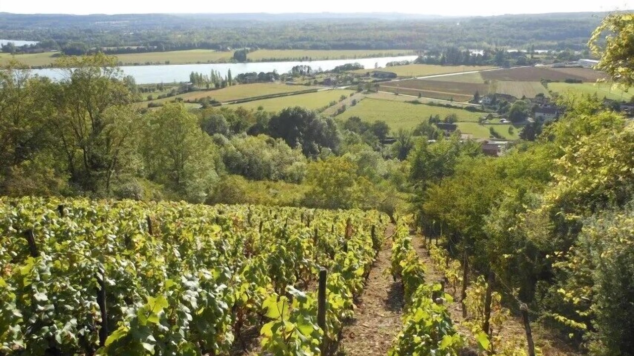 Photo of Others in Villebois