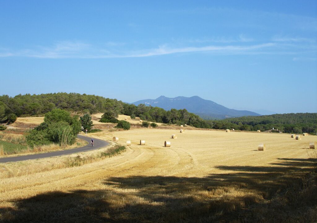 Photo of Others in Serinya