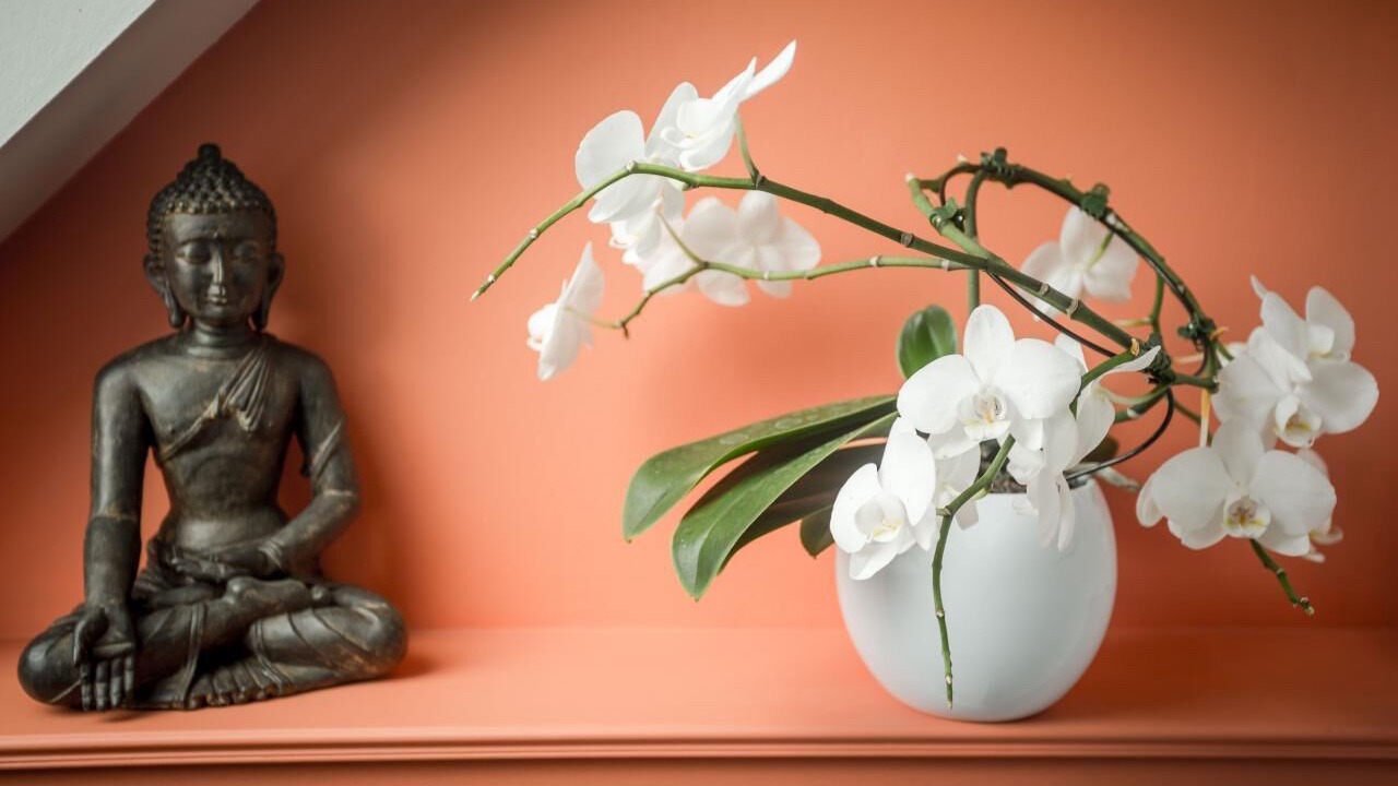 Photo of Bedroom in Meillac