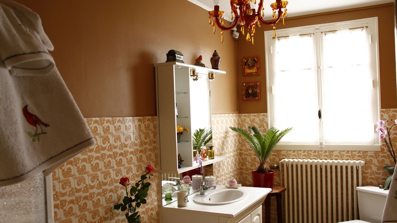 Photo of Bathroom in Meillac