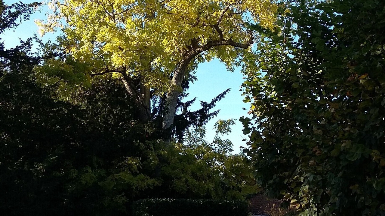 Photo of Outdoor in Tours