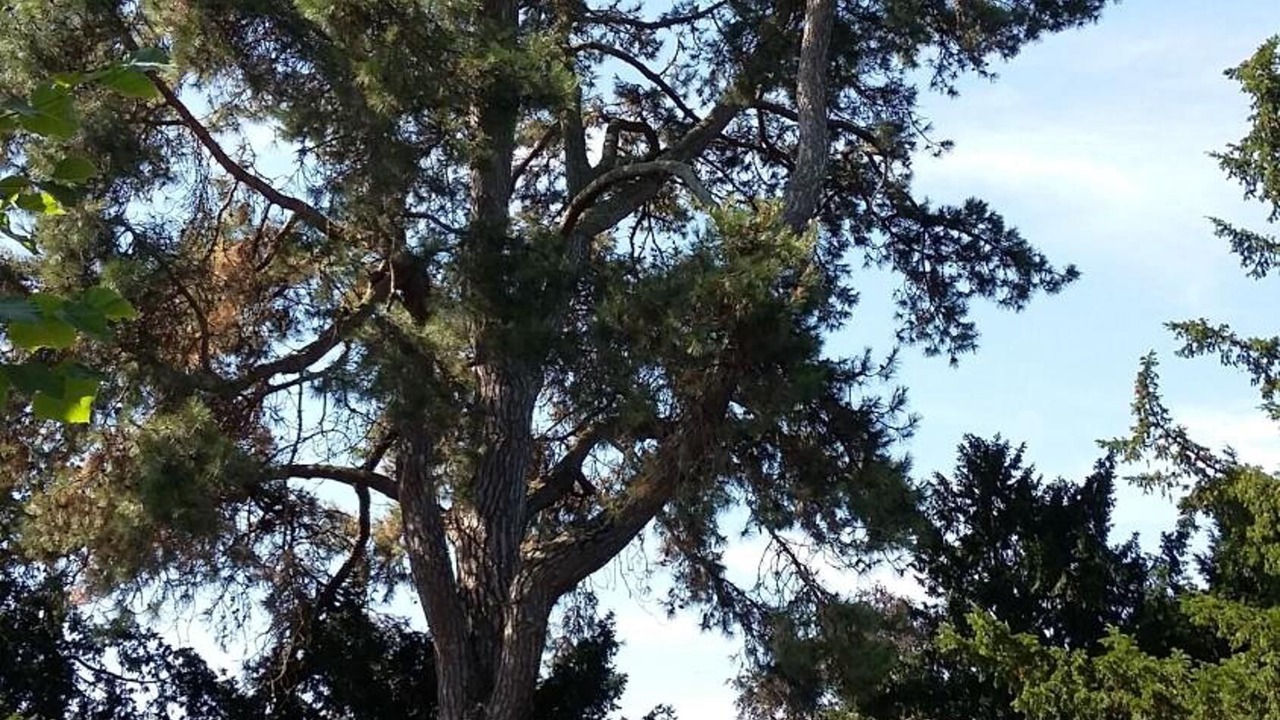 Photo of Outdoor in Tours