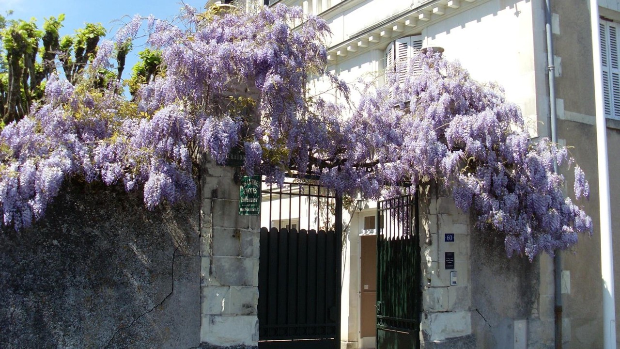 Photo of Outdoor in Tours