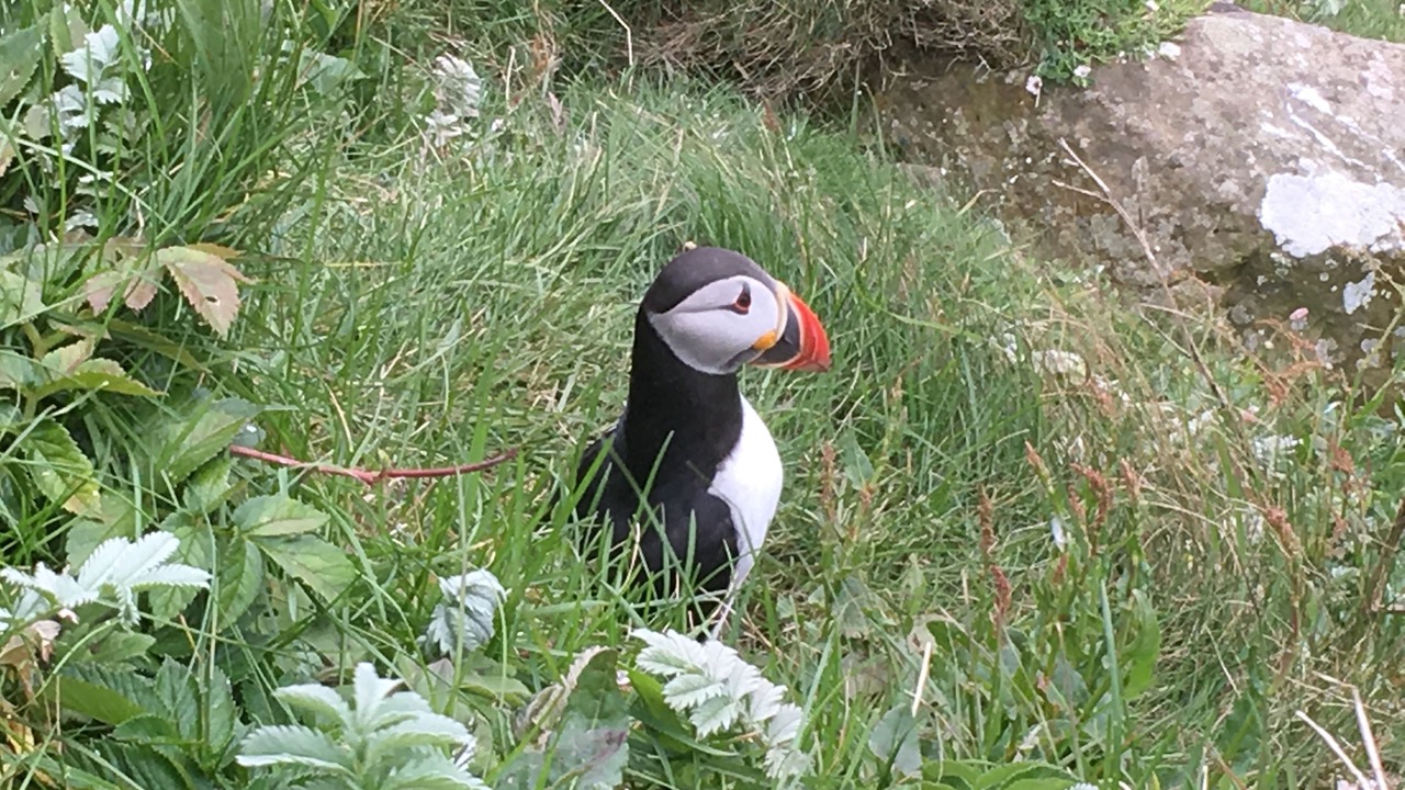 Photo of Others in Benderloch