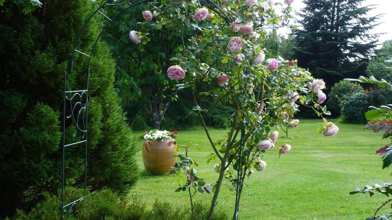 Photo of Outdoor in Saint-Briac-sur-Mer