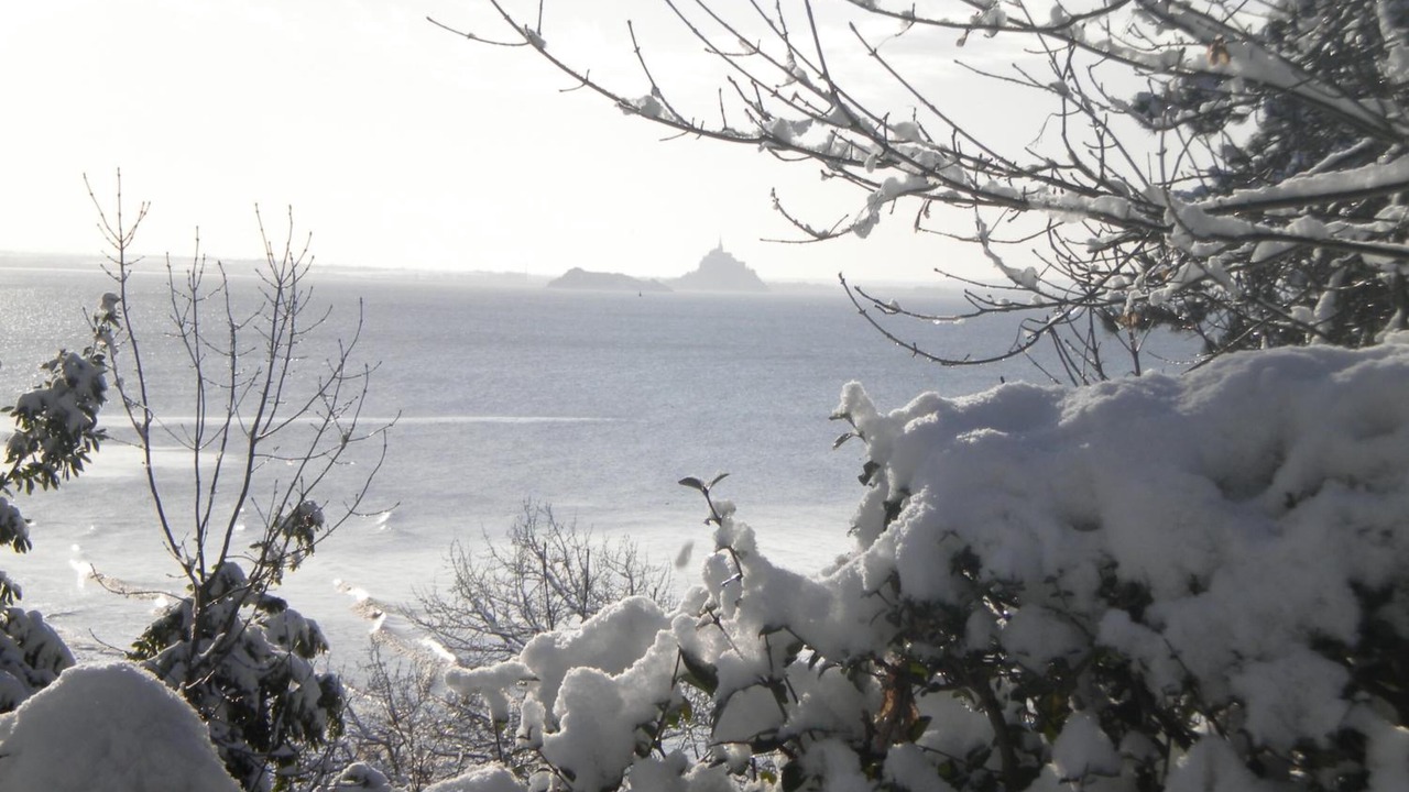 Photo of Others in Saint-Jean-le-Thomas