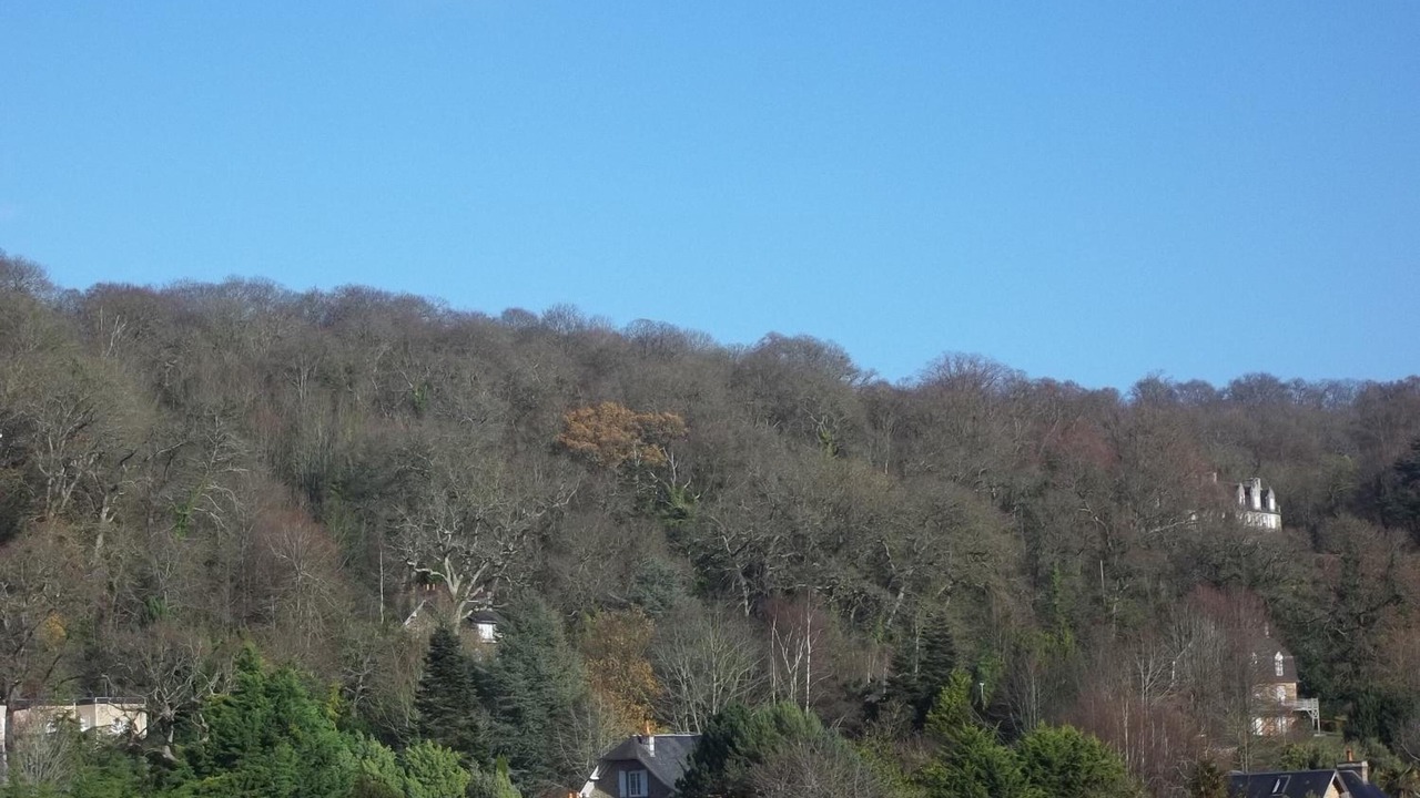 Photo of Outdoor in Saint-Jean-le-Thomas