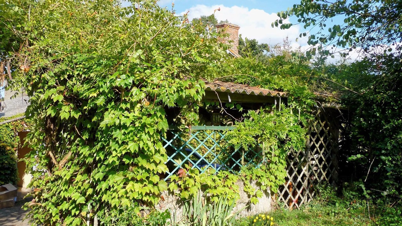 Photo of Outdoor in Sainte-Gemme