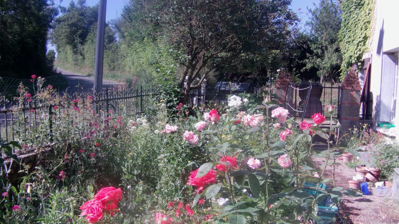 Photo of Outdoor in Sainte-Gemme