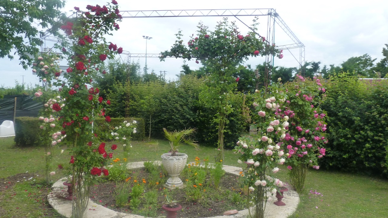 Photo of Outdoor in Sainte-Catherine-de-Fierbois