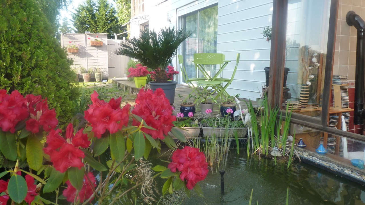 Photo of Outdoor in Sainte-Catherine-de-Fierbois