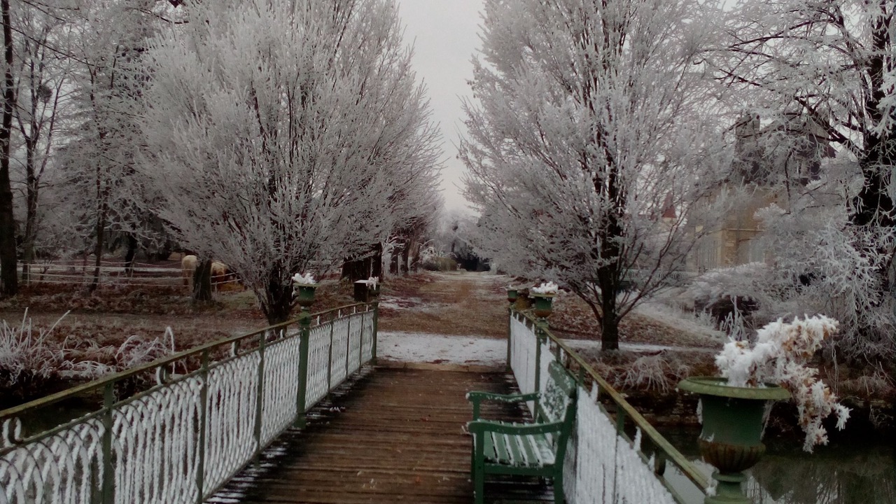 Photo of Outdoor in Ladoix-Serrigny