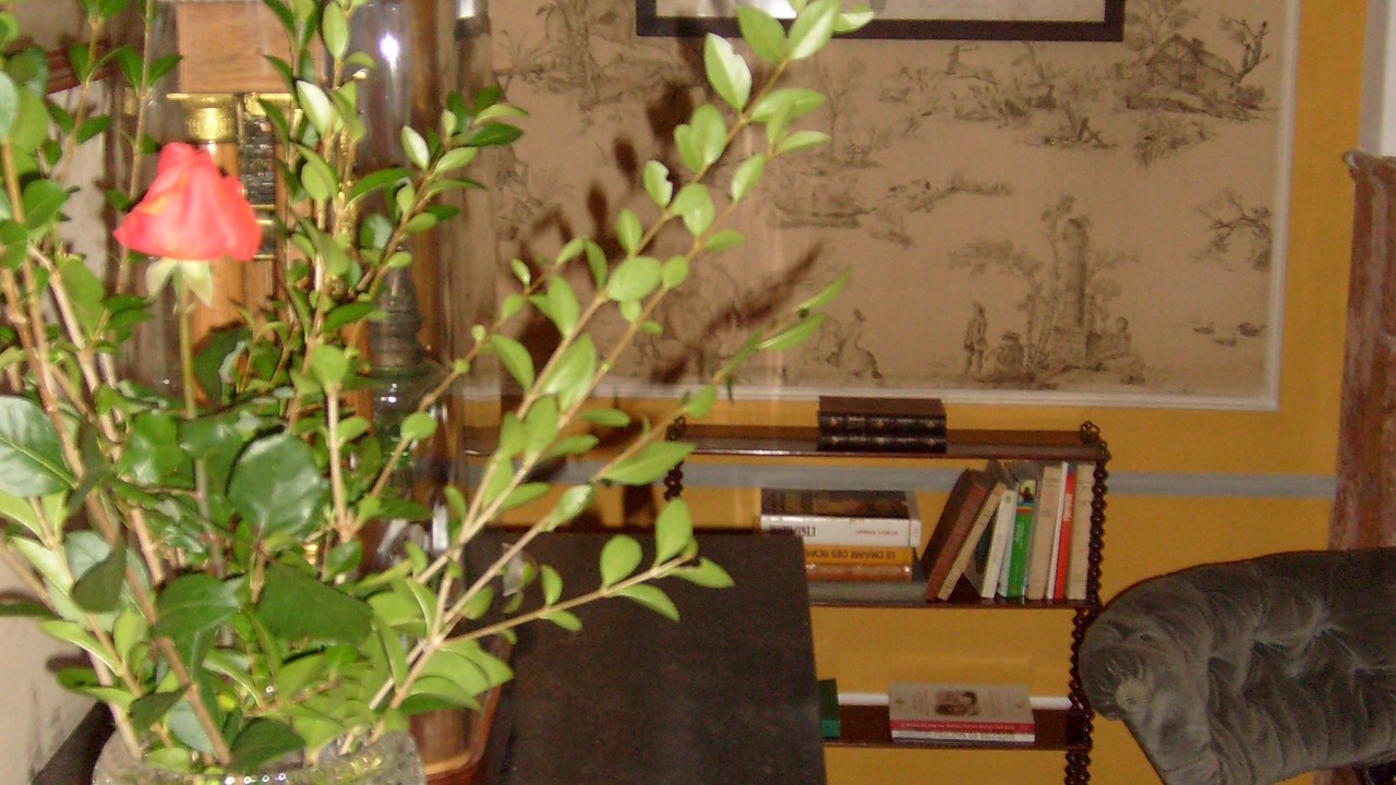Photo of Bedroom in Ladoix-Serrigny