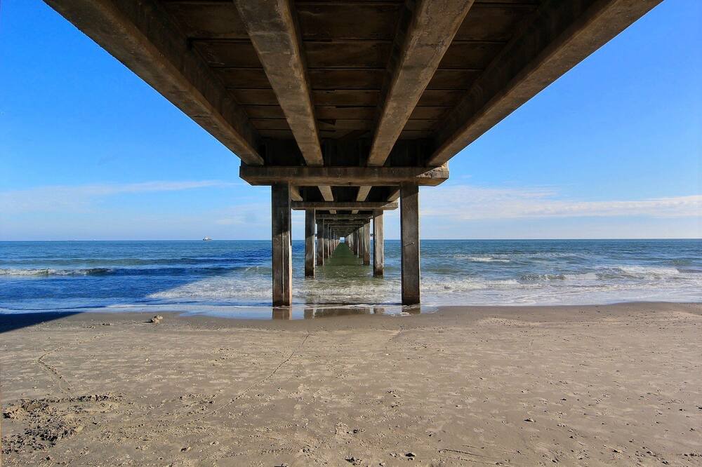 Photo of Others in Port Aransas