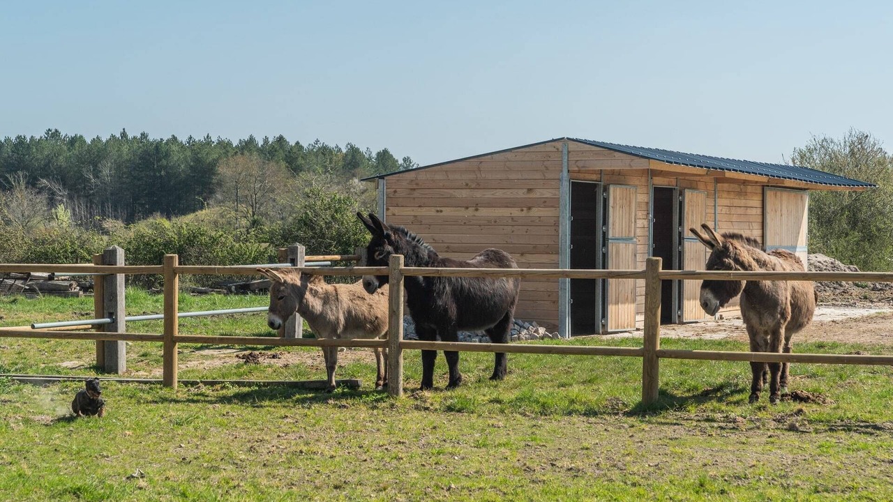 Photo of Outdoor in Mery-sur-Cher