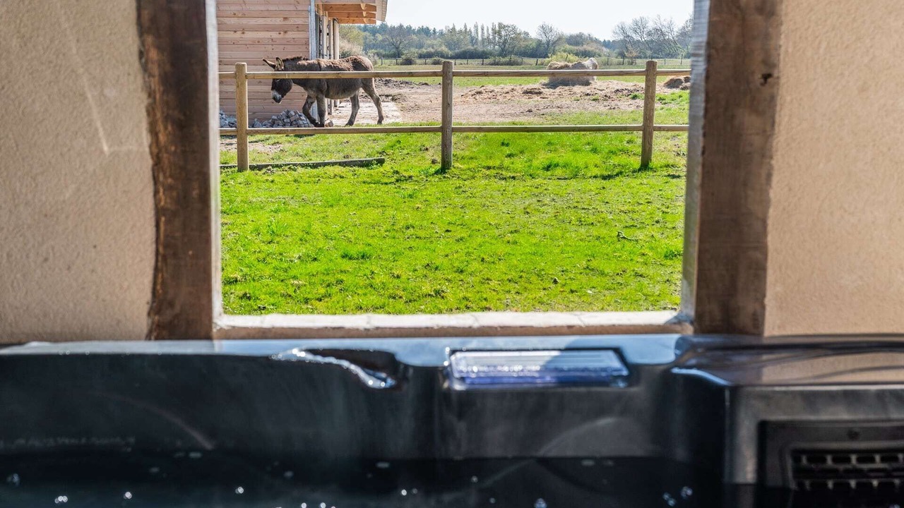 Photo of Others in Mery-sur-Cher