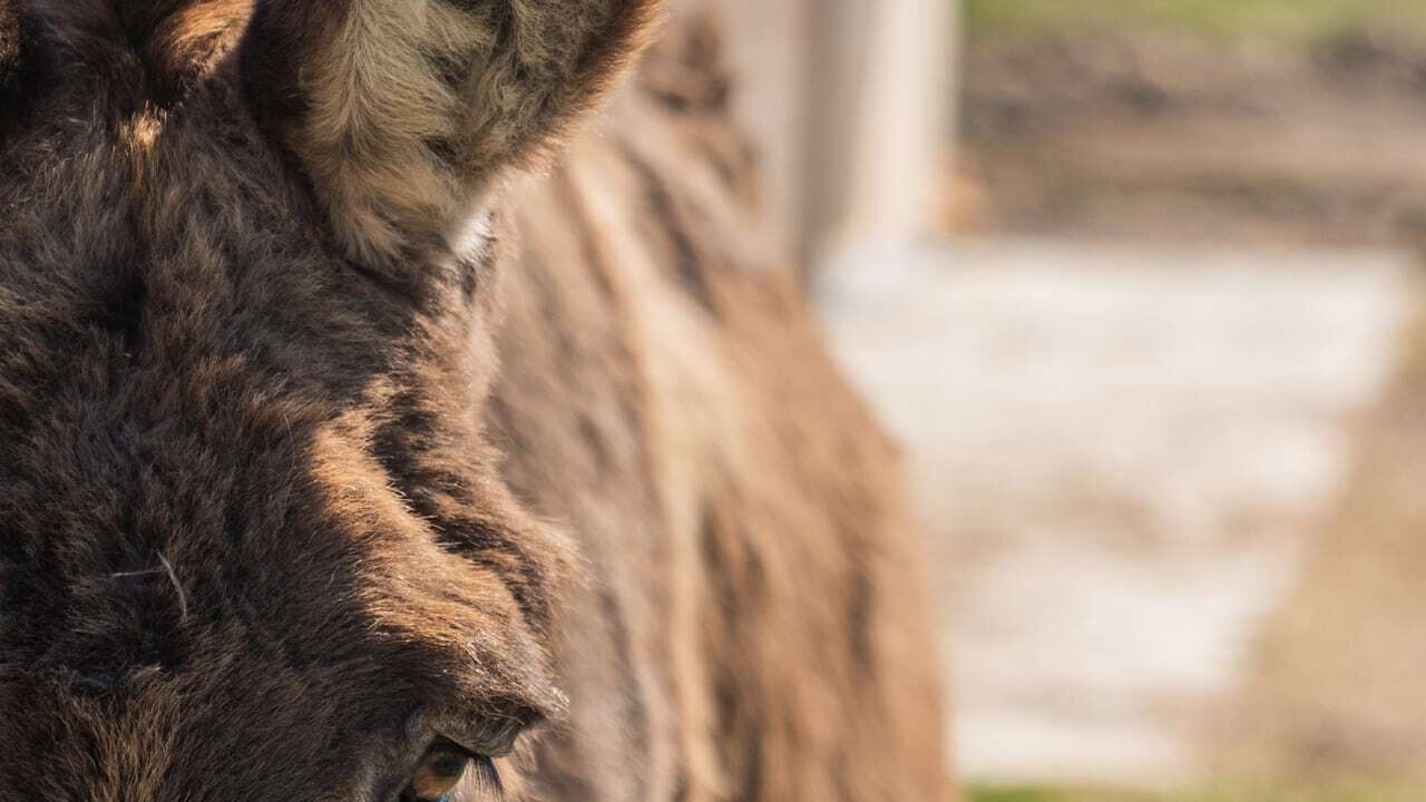 Photo of Outdoor in Mery-sur-Cher