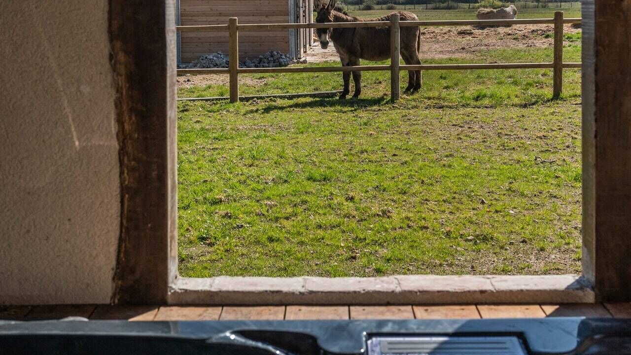 Photo of Outdoor in Mery-sur-Cher