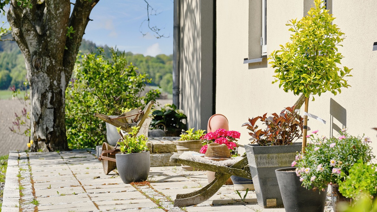 Photo of Others in Ebeltoft