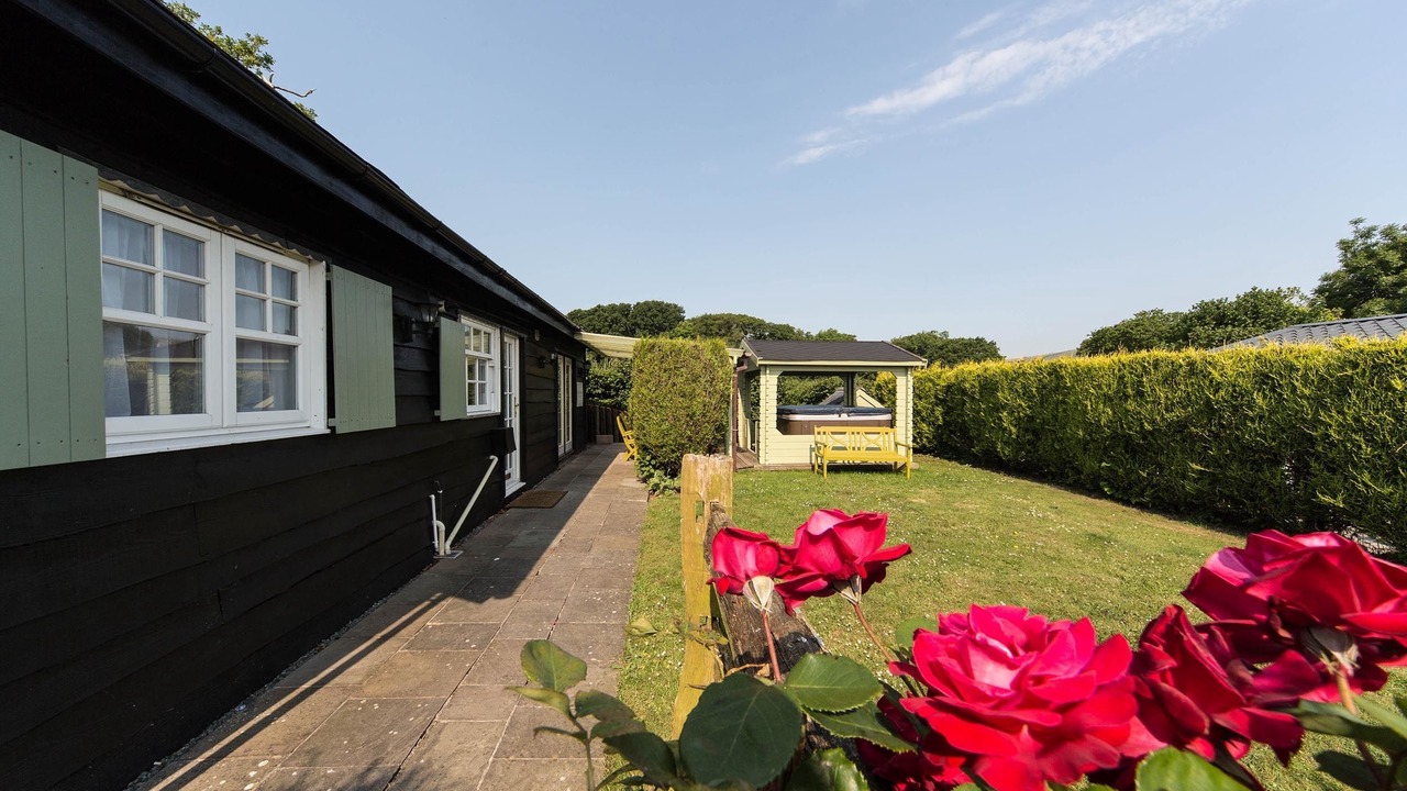 Photo of Others in Swanage