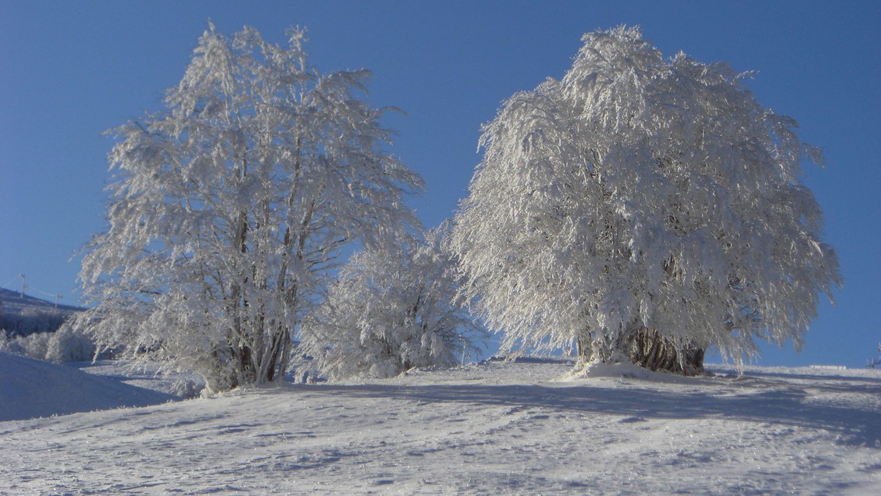 Photo of Outdoor in Saint-Martin-en-Vercors