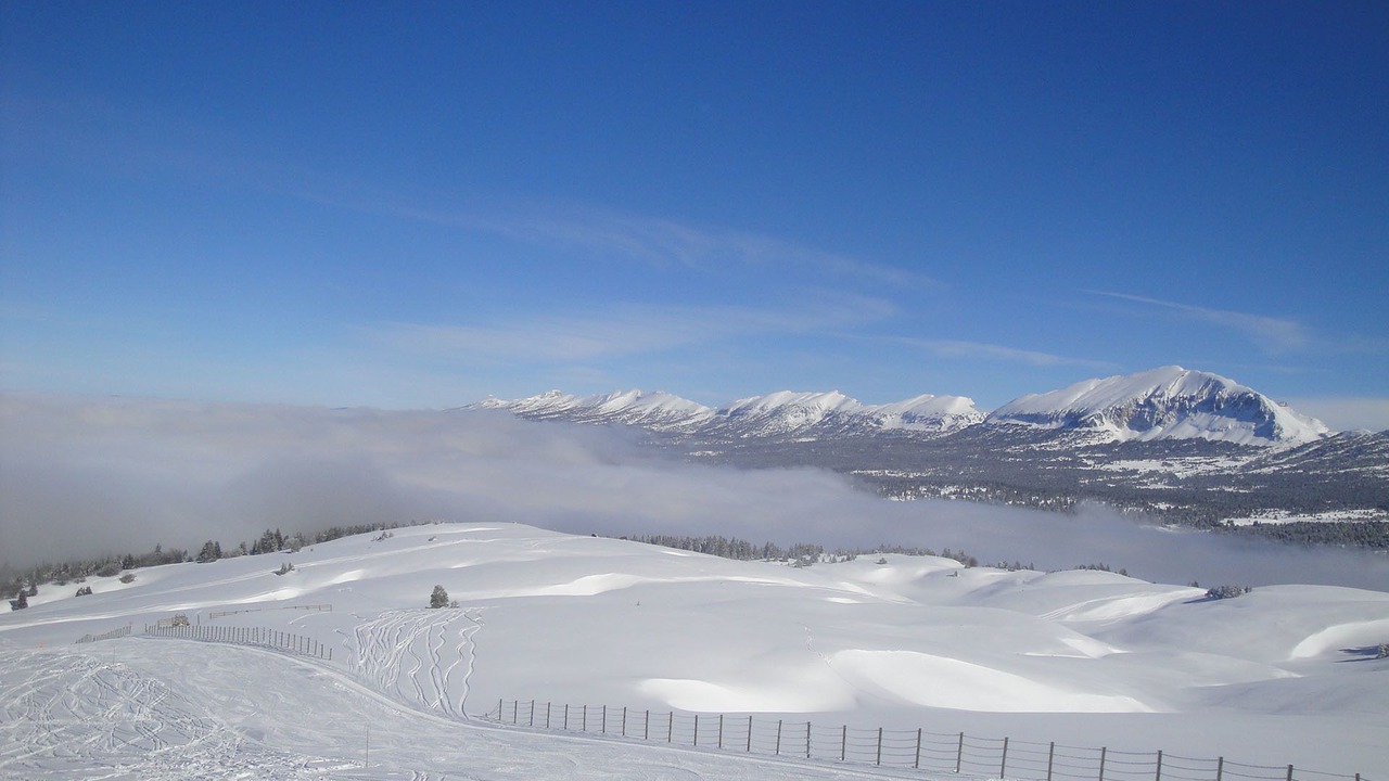 Photo of Others in Saint-Martin-en-Vercors