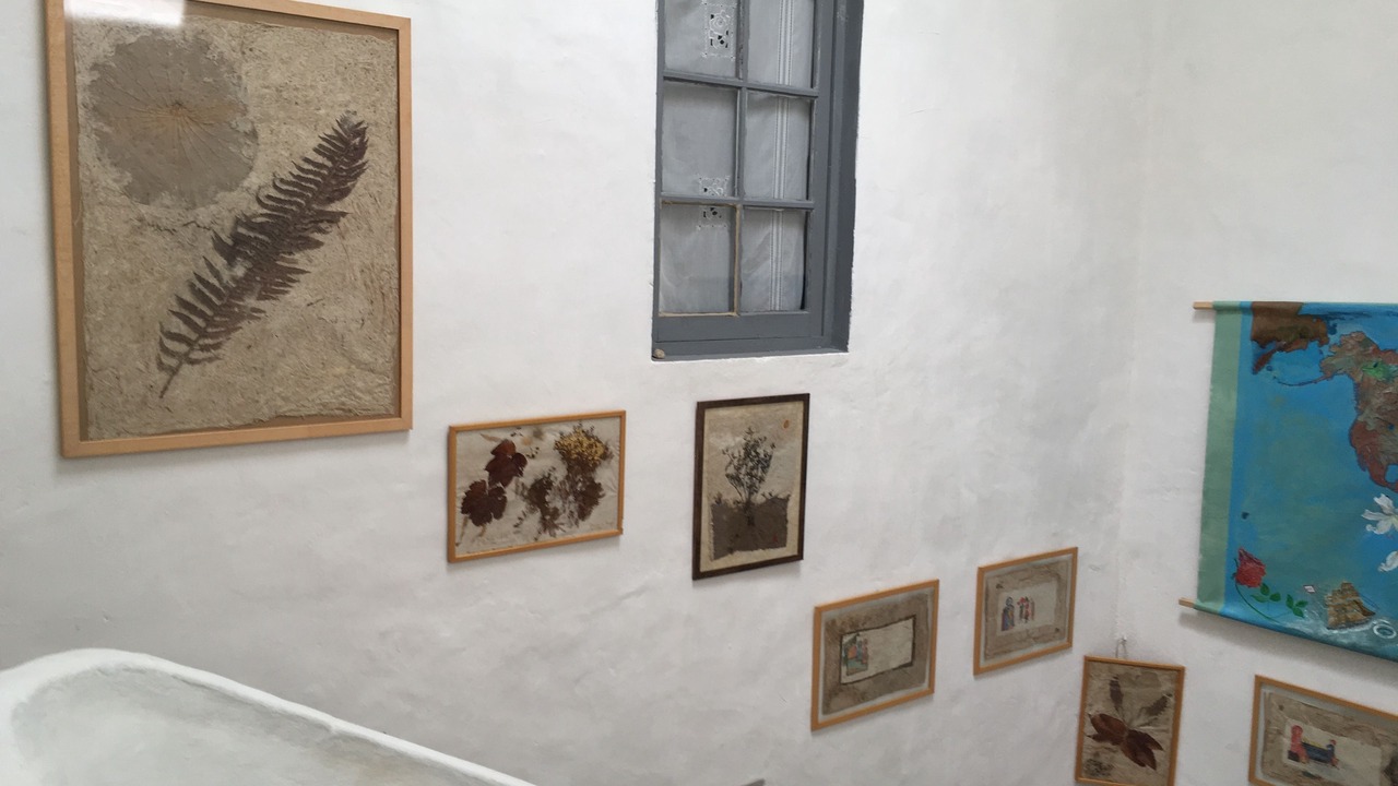 Photo of Others in Saint-Hippolyte-du-Fort