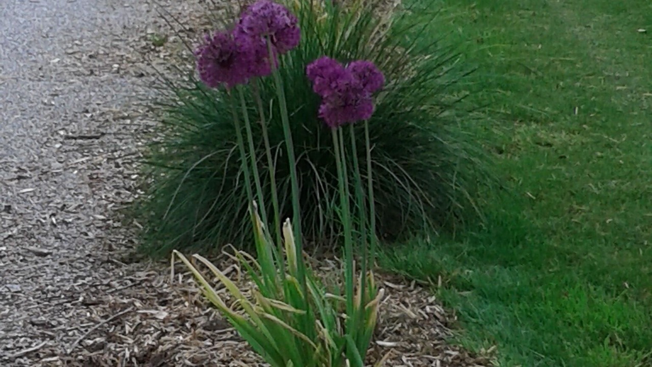 Photo of Outdoor in Steenwerck