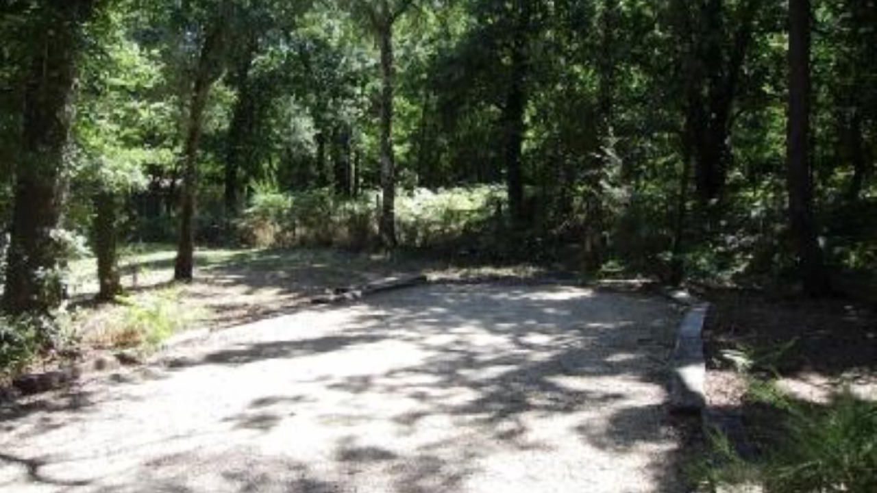 Photo of Outdoor in Barbaste