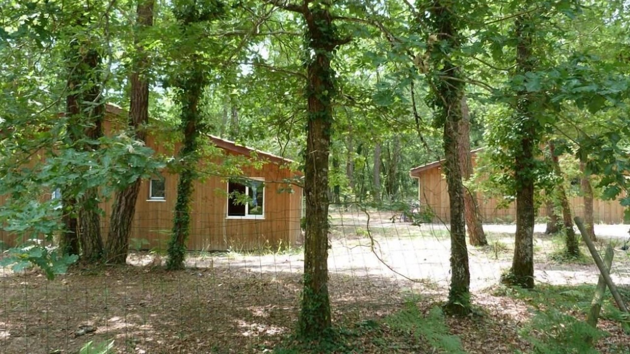 Photo of Outdoor in Barbaste
