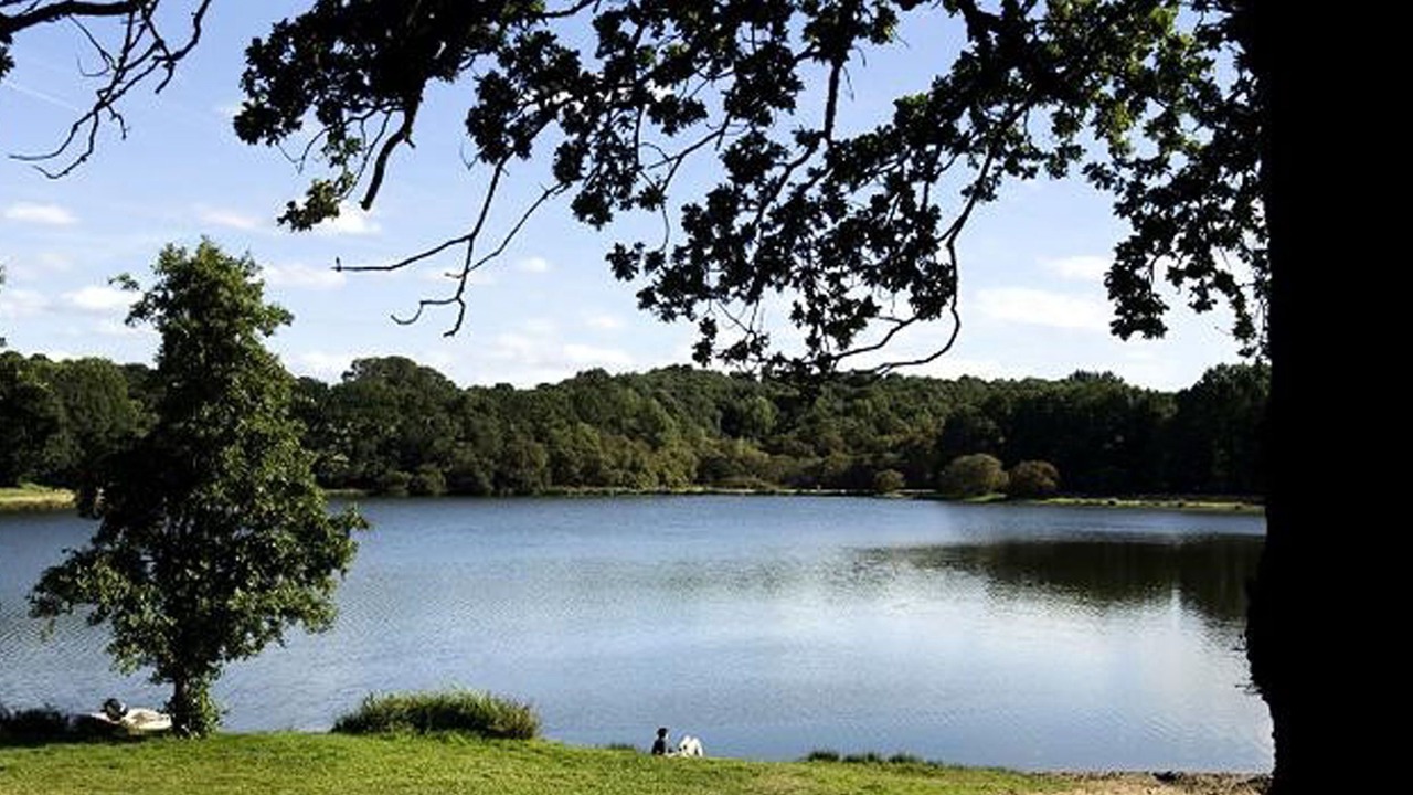 Photo of Outdoor in Rochefort-en-Terre