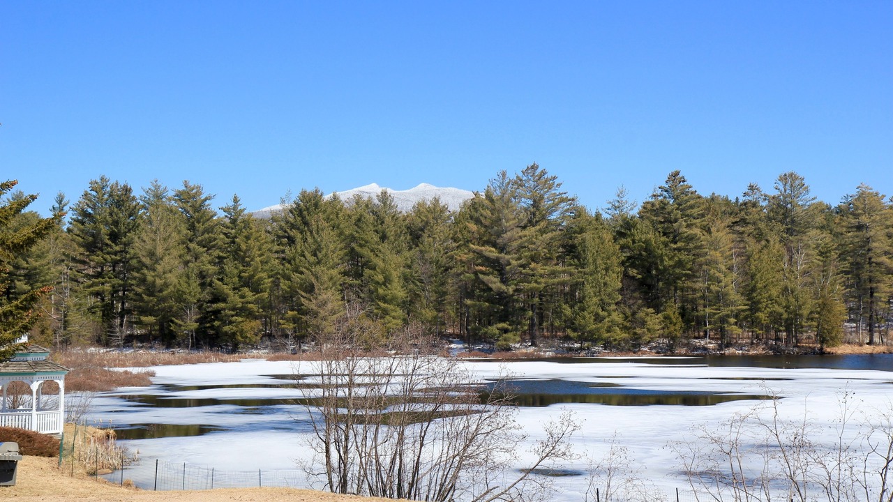 Photo of Others in Saranac Lake