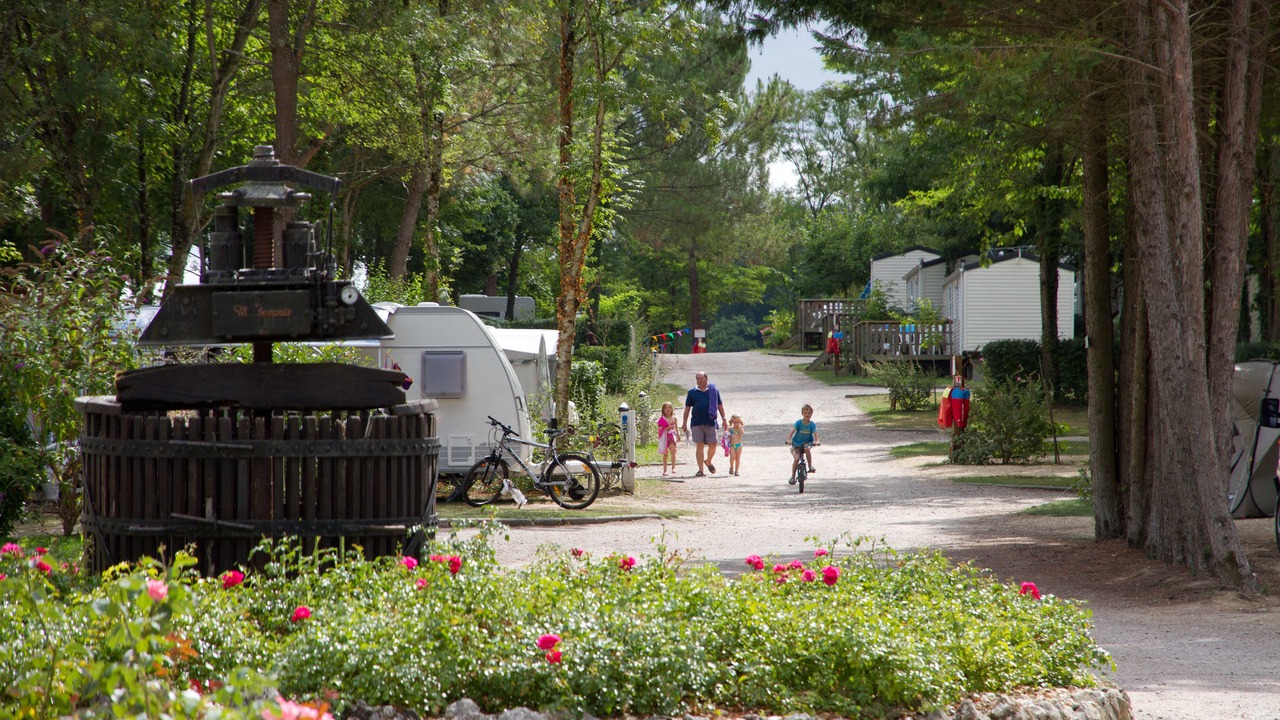 Photo of Outdoor in Petit-Palais-et-Cornemps