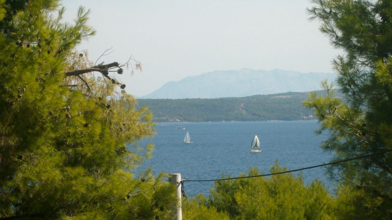 Photo of Others in Stomorska