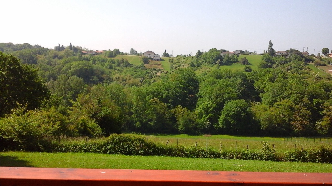 Photo of Others in Moissac