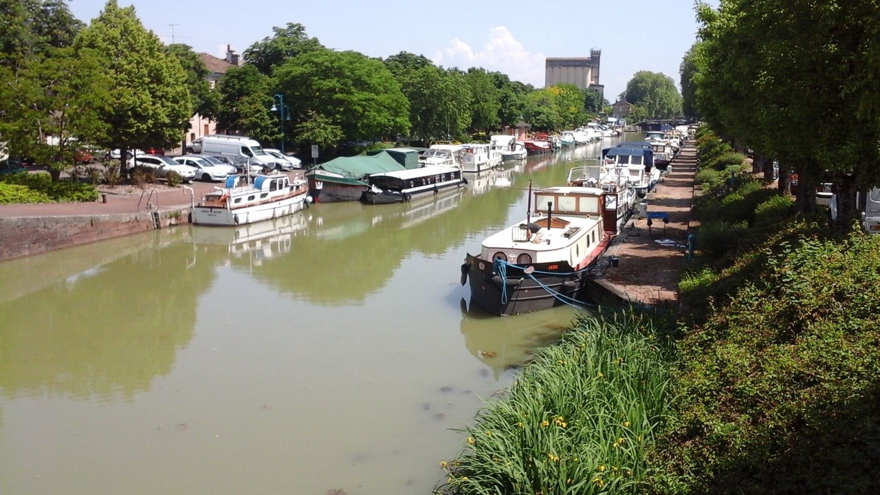Photo of Others in Moissac