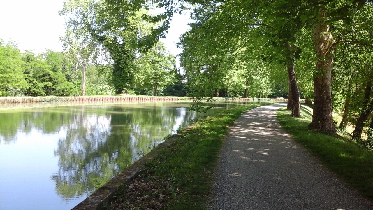 Photo of Outdoor in Moissac
