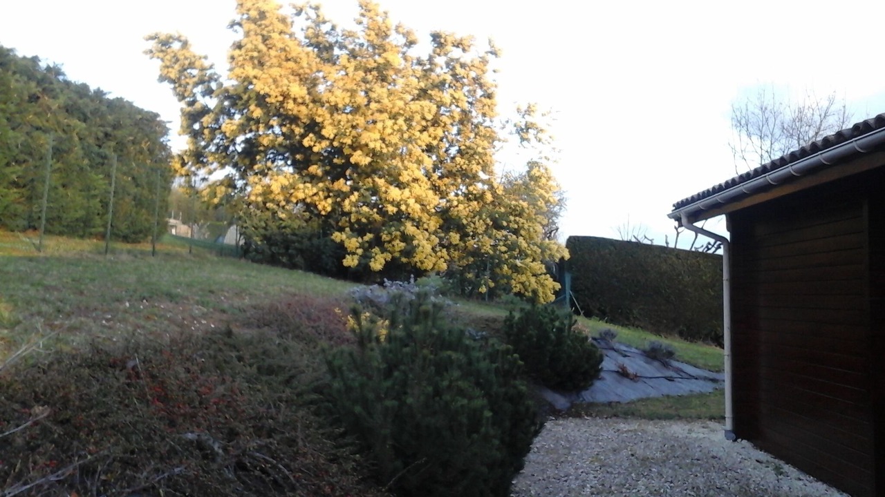 Photo of Outdoor in Moissac