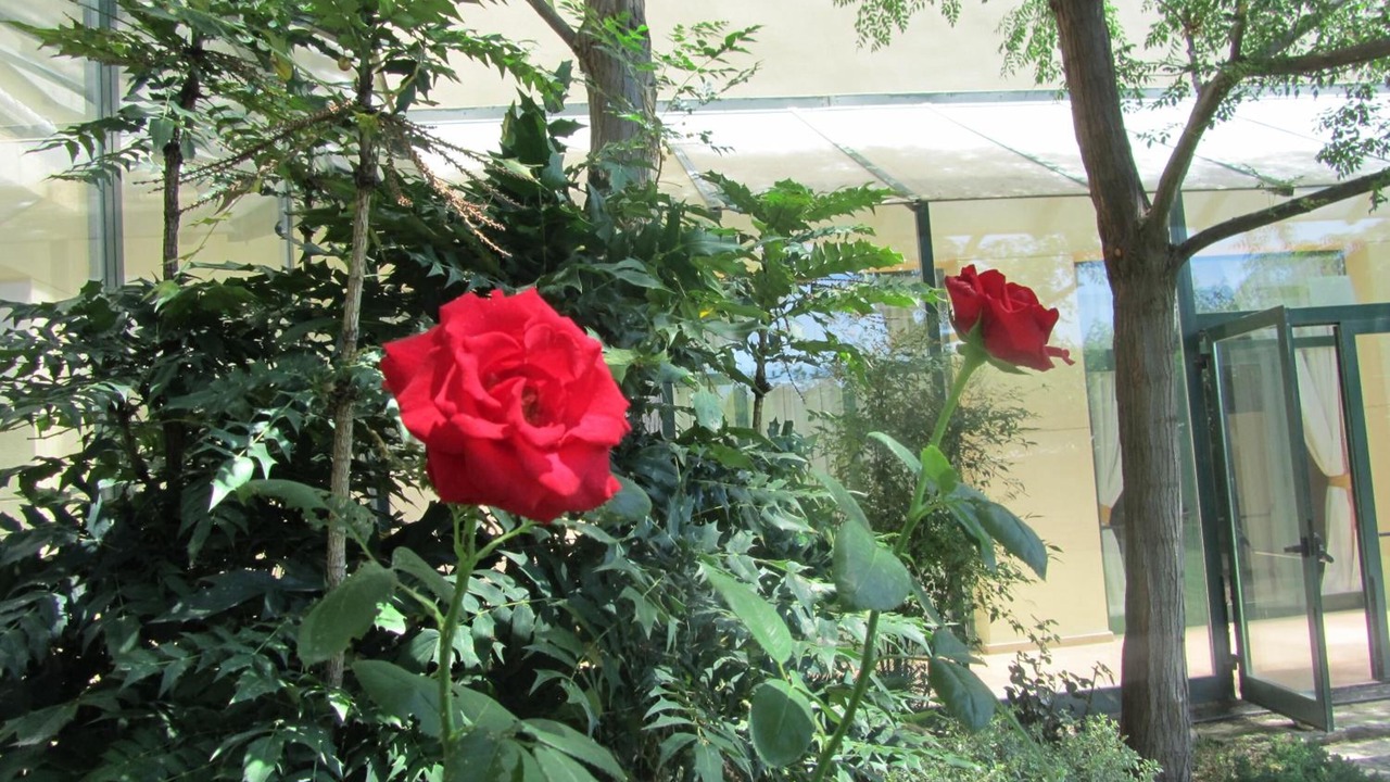 Photo of Outdoor in Fonolleres