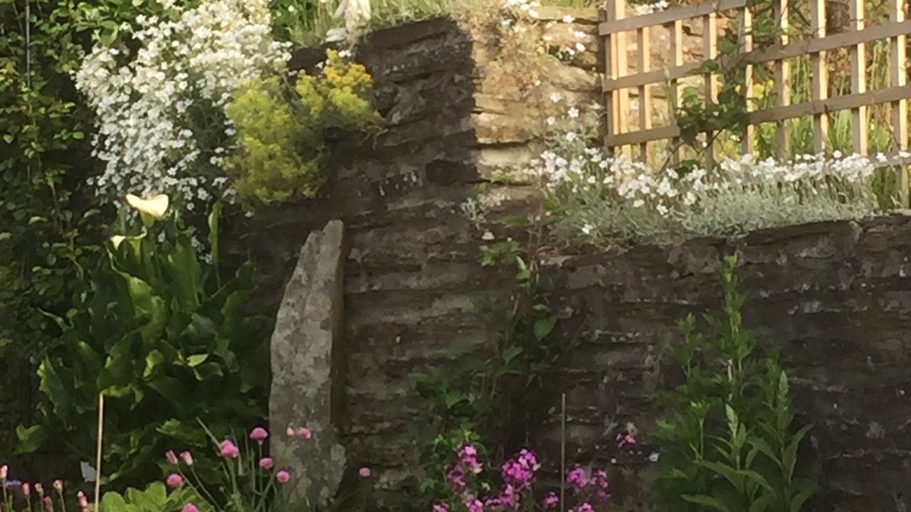 Photo of Outdoor in Boncath