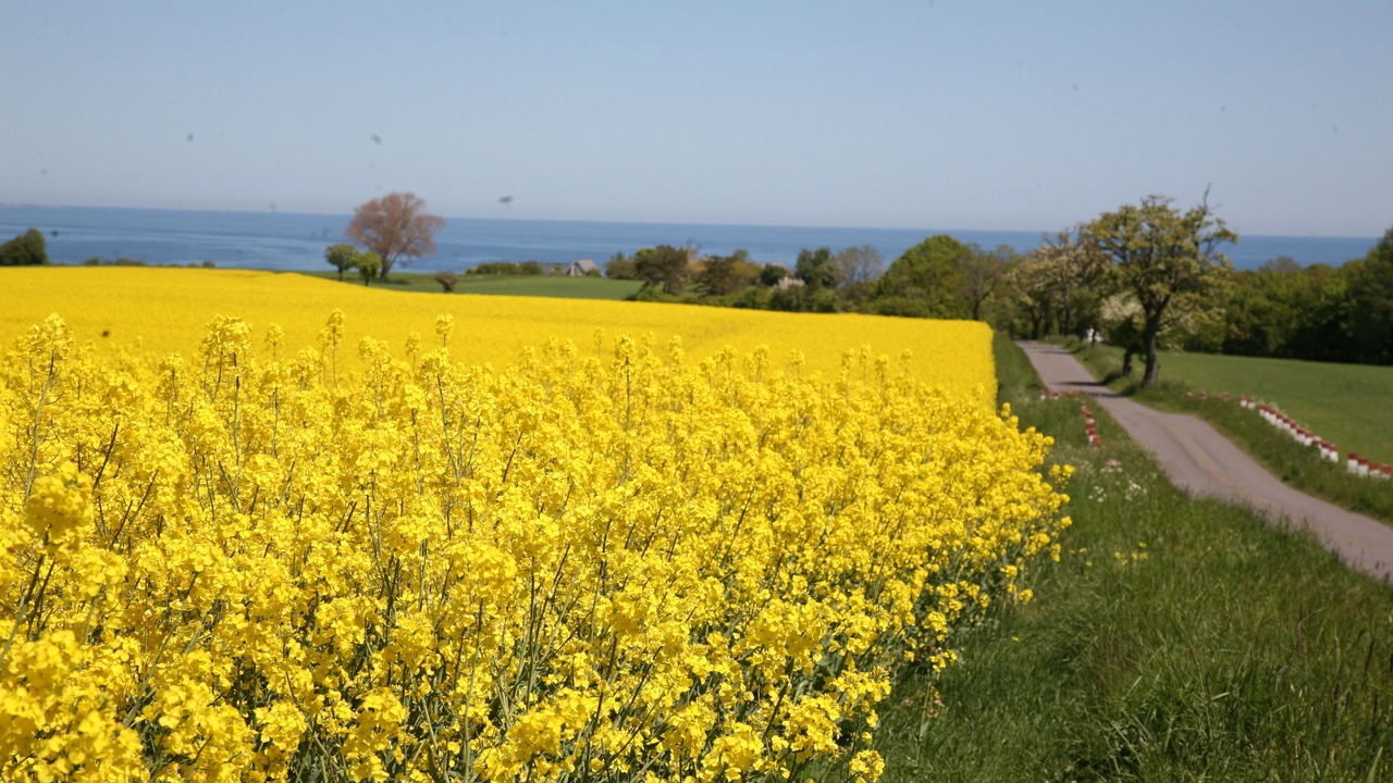 Photo of Outdoor in Nexø