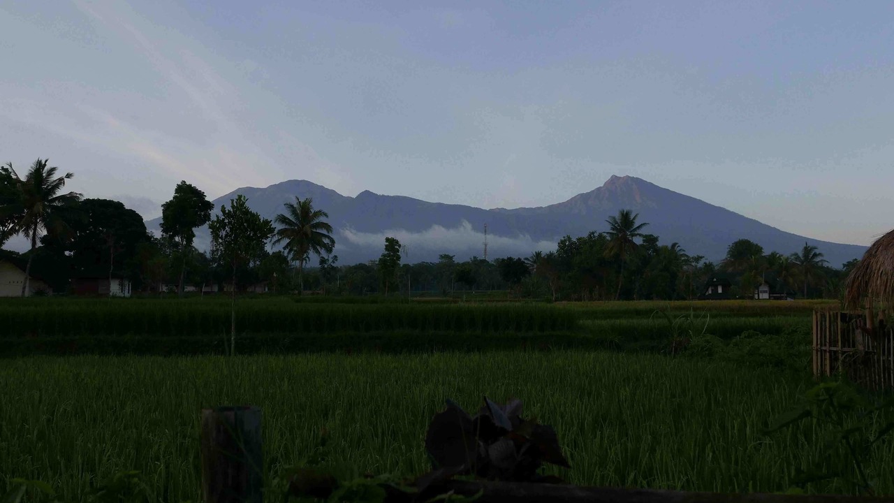 Photo of Others in Kecamatan Pringgasela