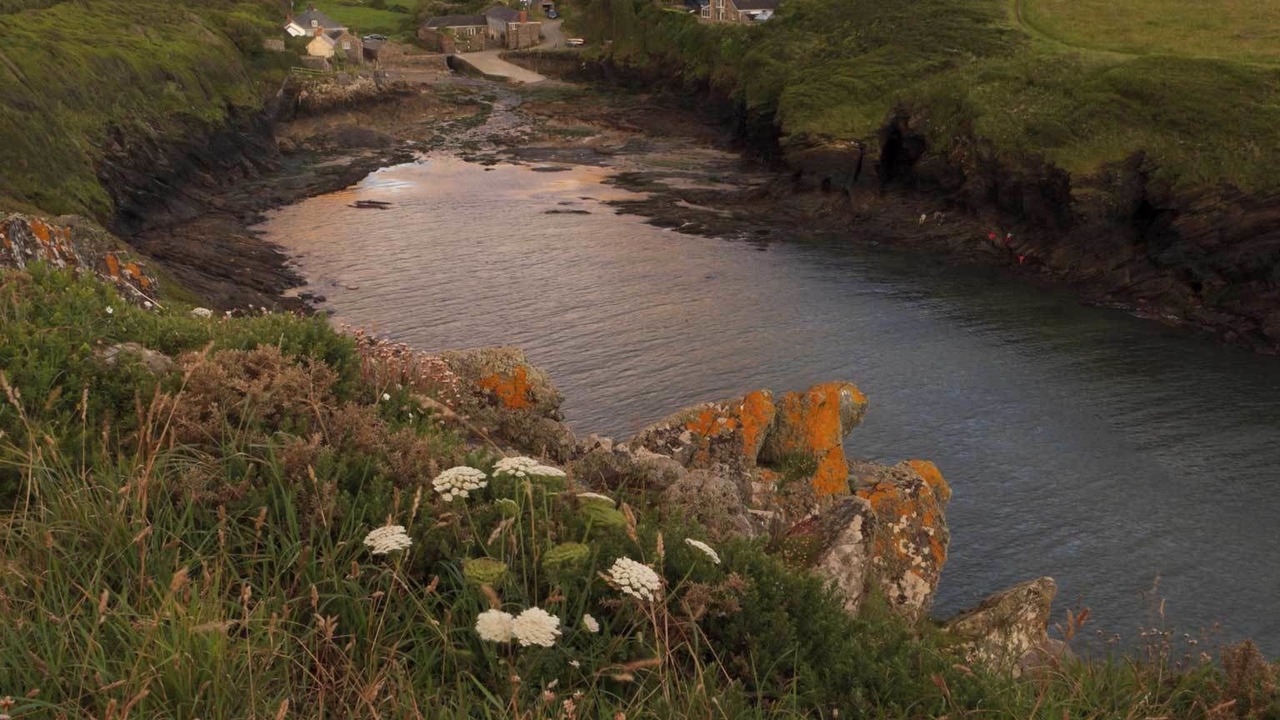 Photo of Outdoor in Wadebridge