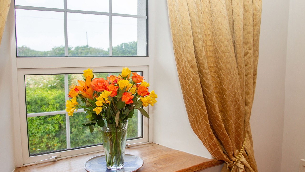 Photo of Others in Wadebridge